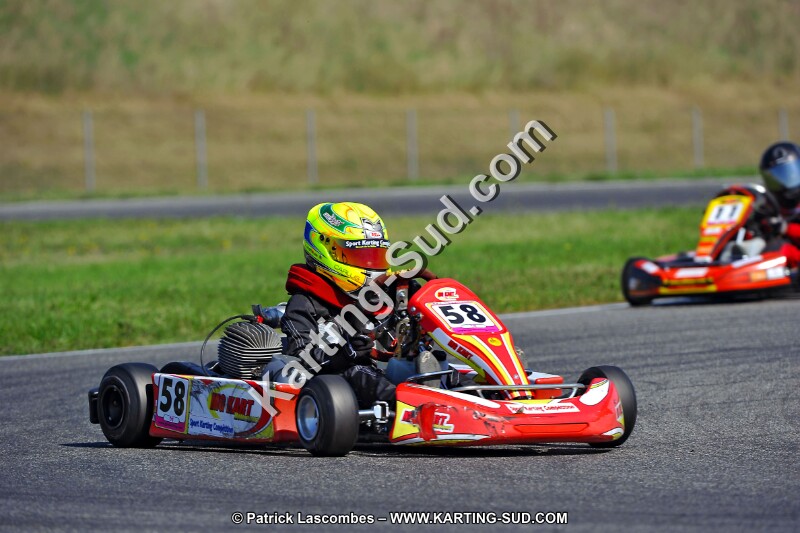 DSC_ (1268).jpg